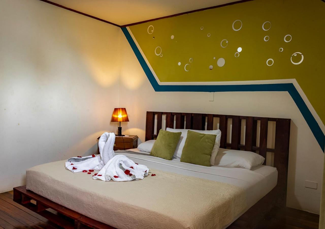 Eco Stay Hostel San Jose  Ngoại thất bức ảnh