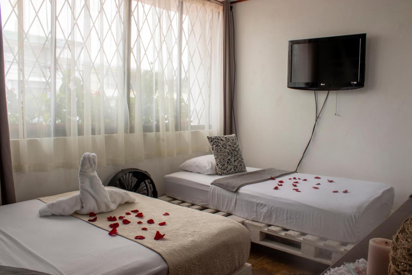 Eco Stay Hostel San Jose  Ngoại thất bức ảnh